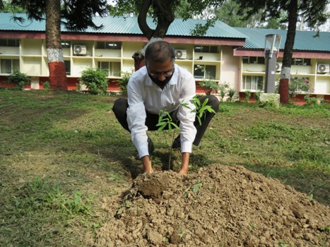 Tree Plantation by Shri Prashant Kumar, DSG at SGO