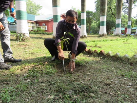 Tree Plantation by Shri Mohan Ram, SS at SGO